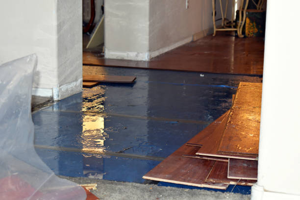 Professional Structural Drying And Dehumidification technician working in Lennon, MI